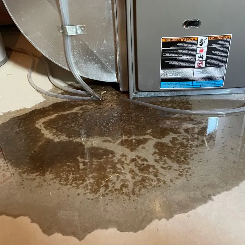 Pipe Burst and Leak Restoration in Pottawatomie County, KS