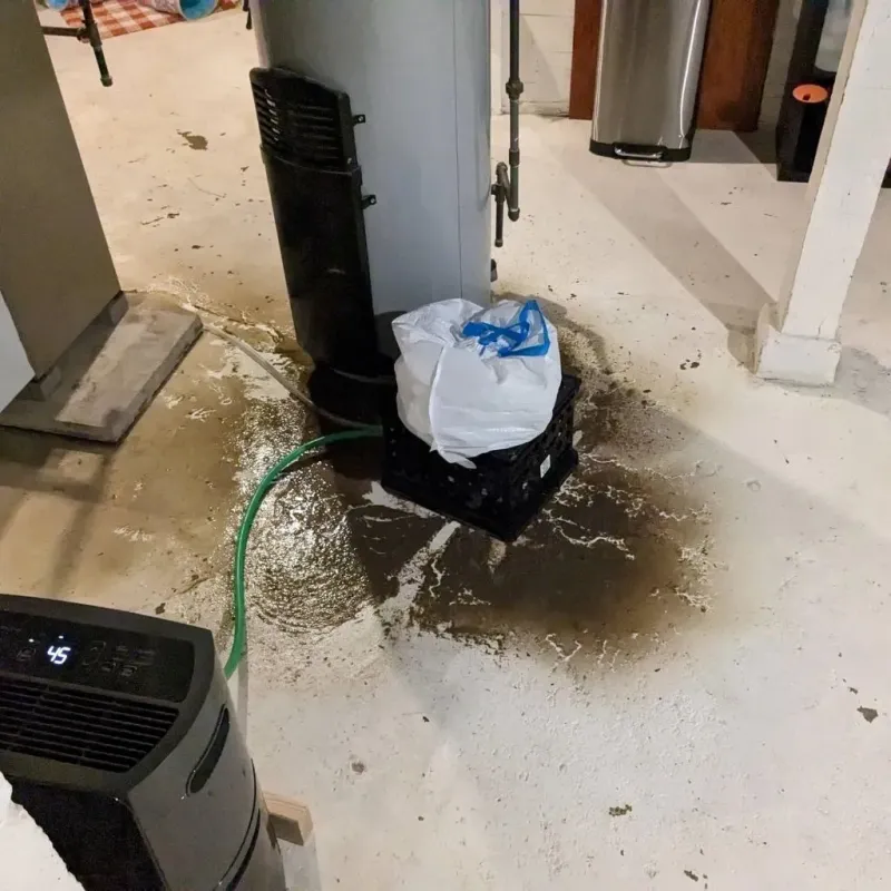 Sewage Backup Cleanup Service in Pottawatomie County, KS